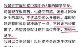 许可馨最新爆料新新,揭秘留学生活背后的真相与争议